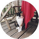 Faye profile picture